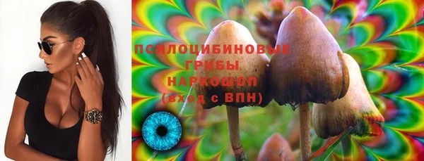 ешки Гусь-Хрустальный