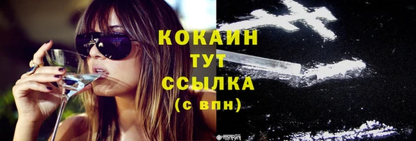 ешки Гусь-Хрустальный