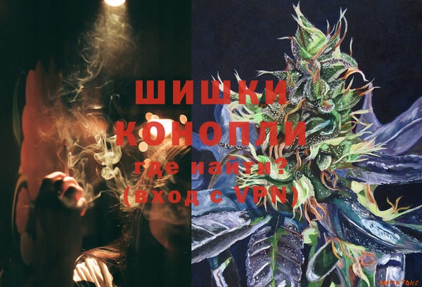стаф Гусиноозёрск
