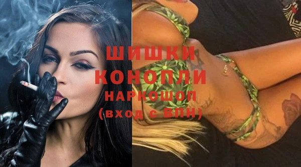 ешки Гусь-Хрустальный