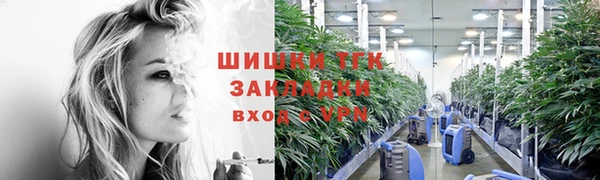 ешки Гусь-Хрустальный