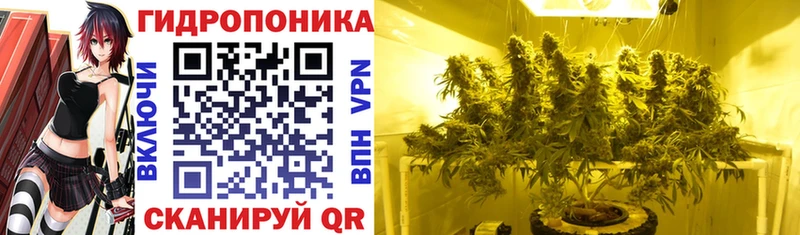 ОМГ ОМГ ссылка Жердевка Бошки марихуана ГИДРОПОН